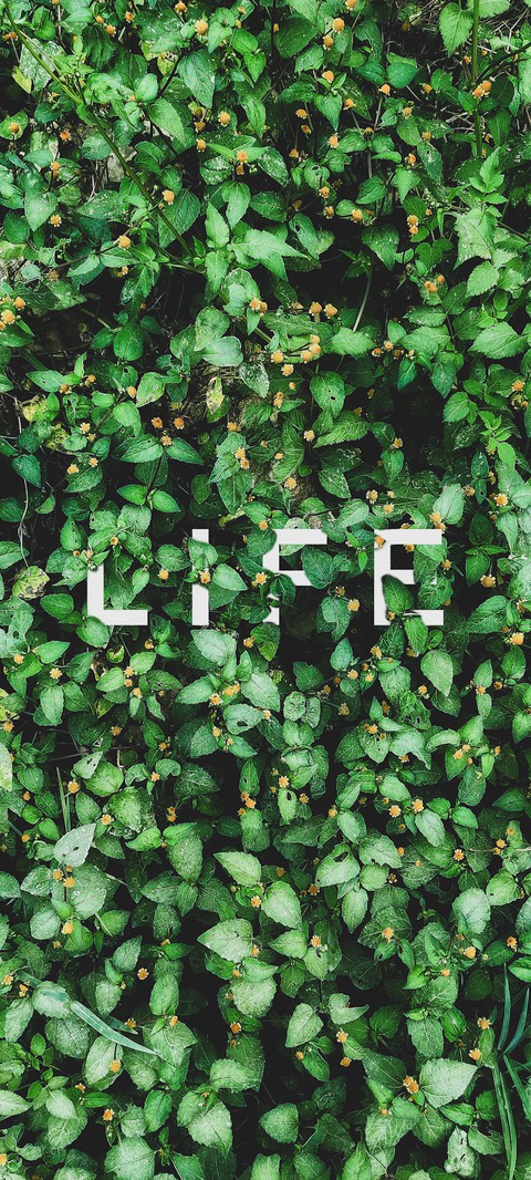 Life