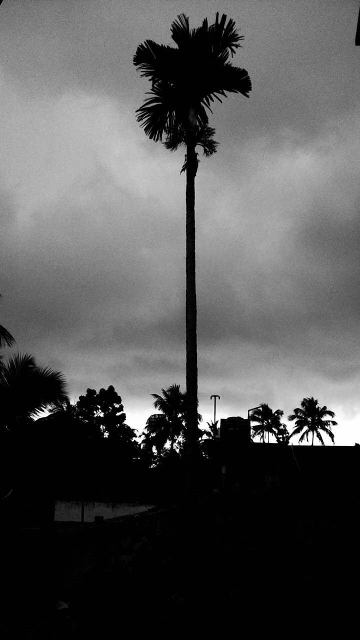 when the rain is coming