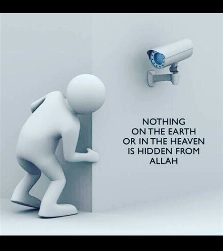 No Place to Hide