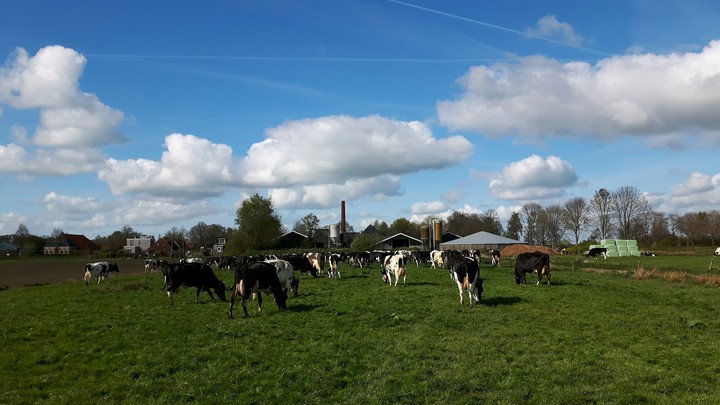 Farm