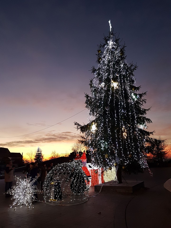 X-mas tree during sunset.