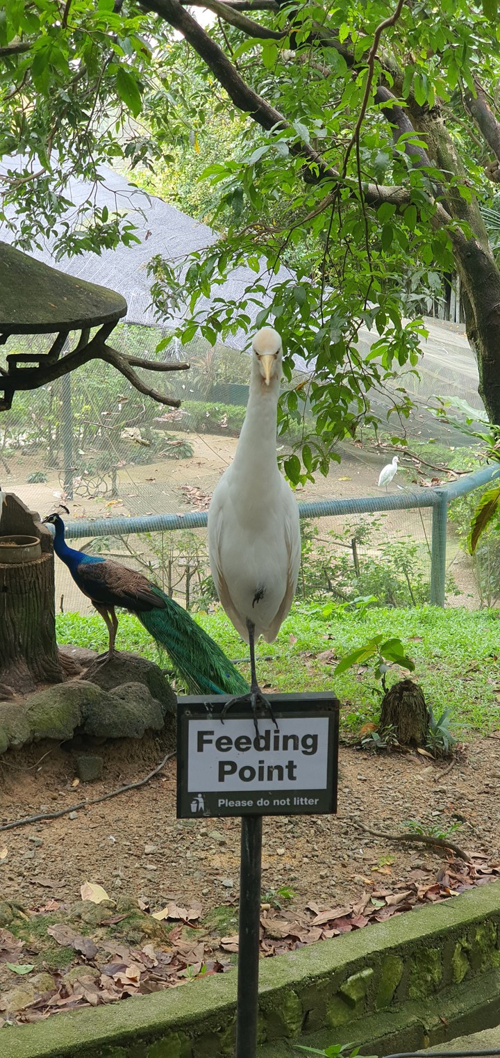 please do not litter!