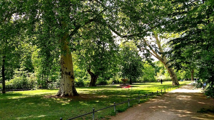 Sun in the Park