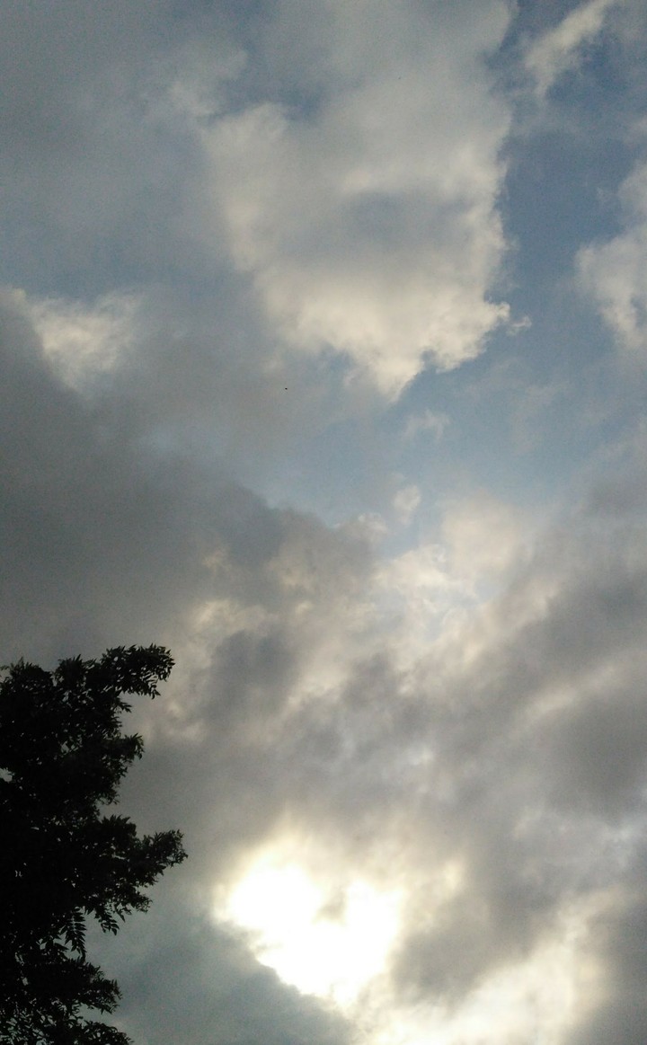Cielo