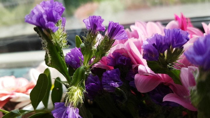flowers