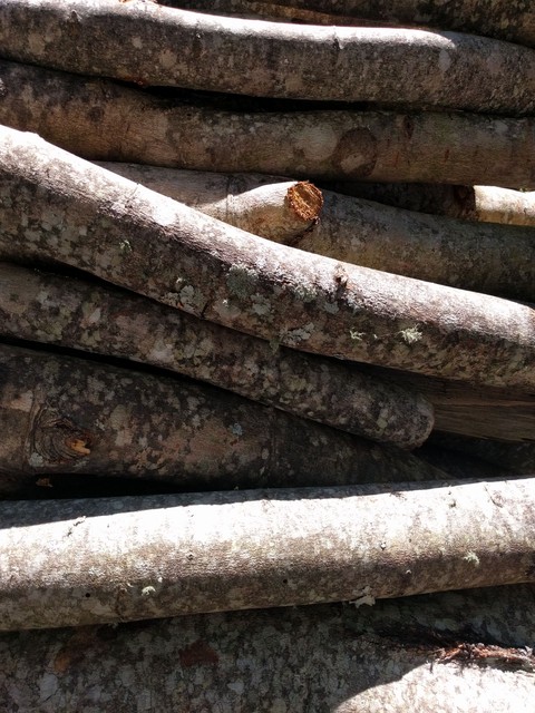 Small Logs