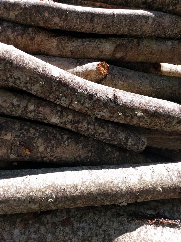 Small Logs