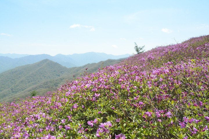 지리산이미지