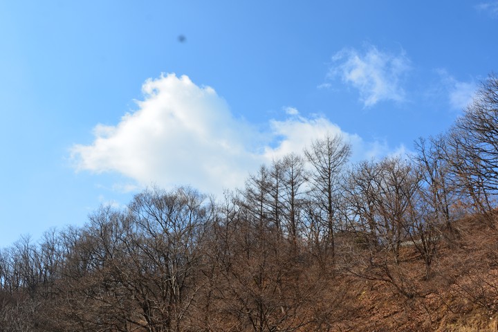 천마산이미지