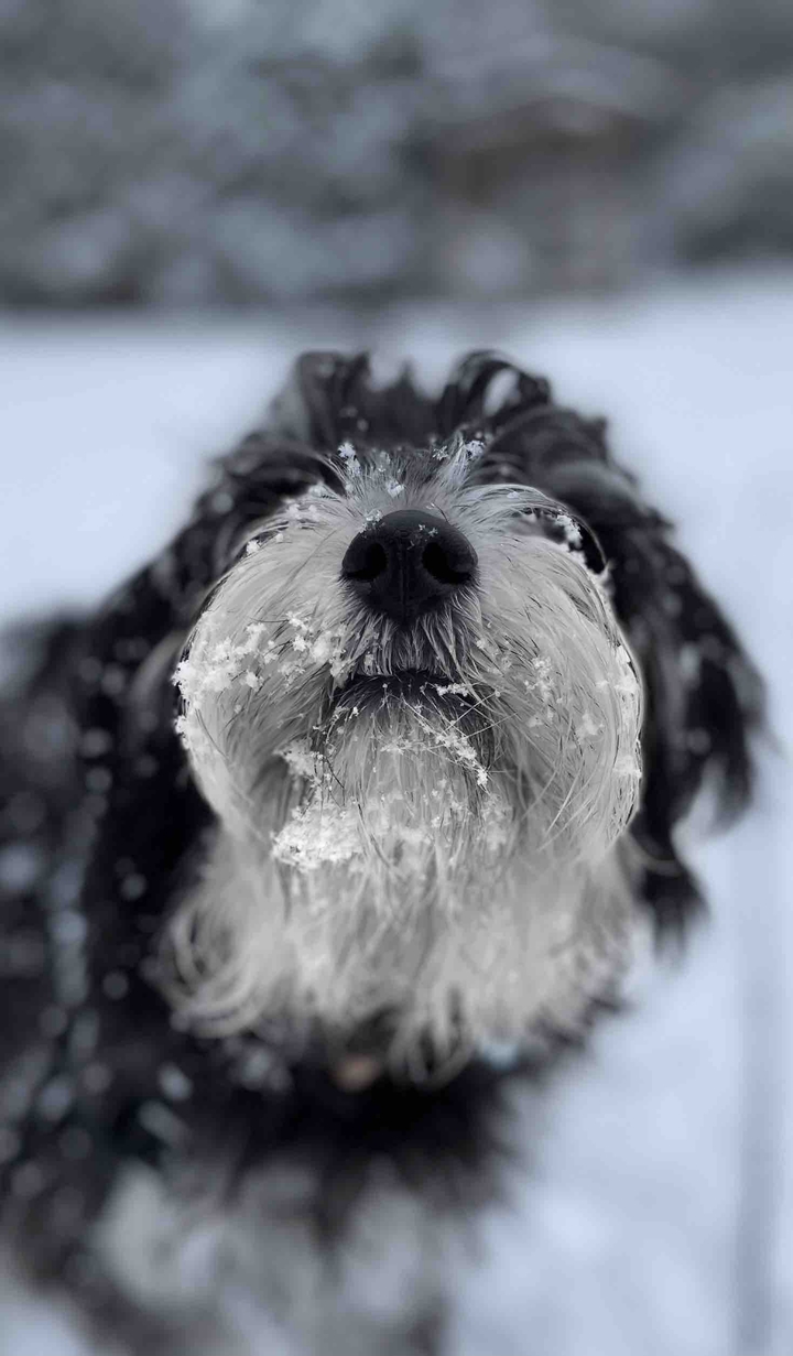 first snow