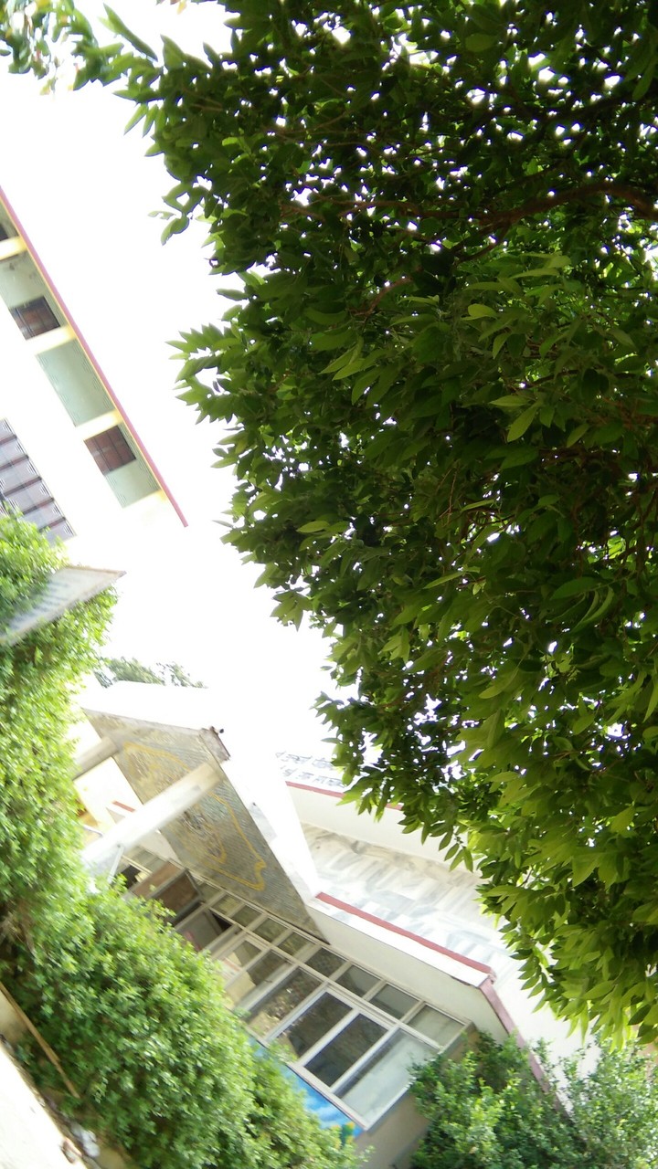 my house
