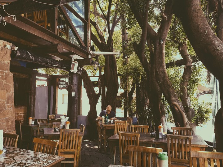 Tree Bar