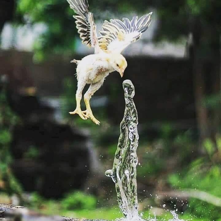 feeling rain