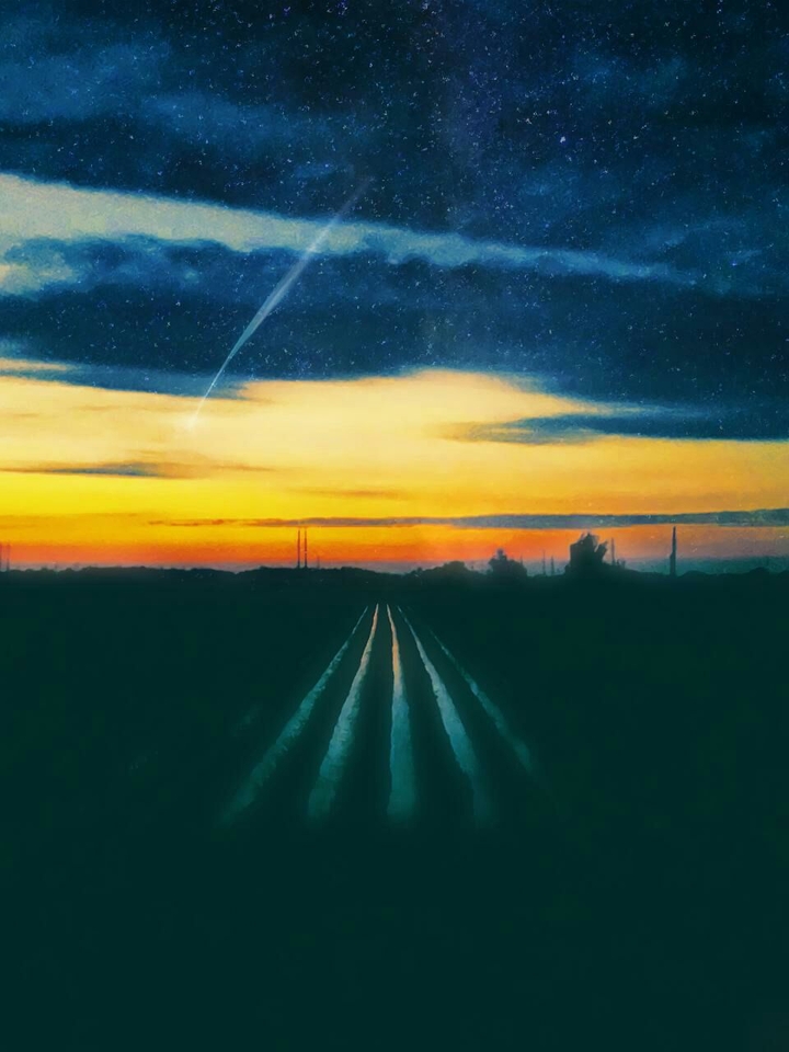 Fields