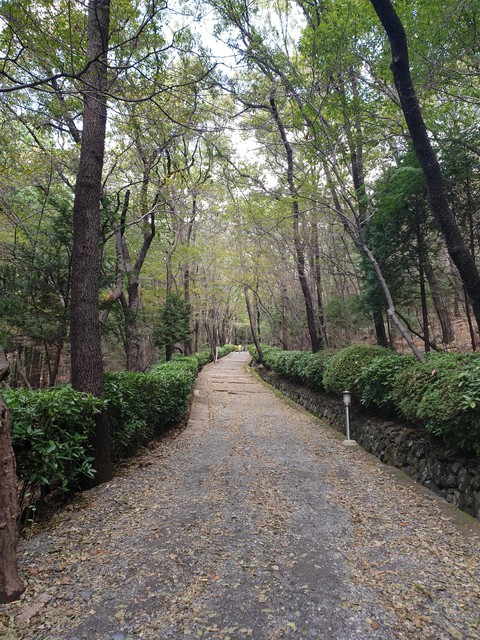 trails