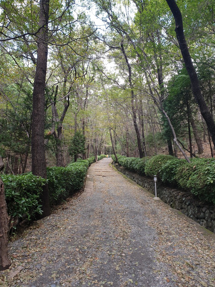 trails
