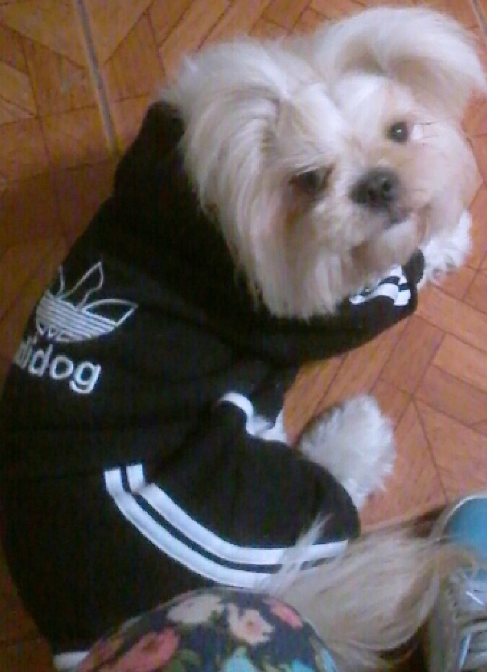 kira la cuchi