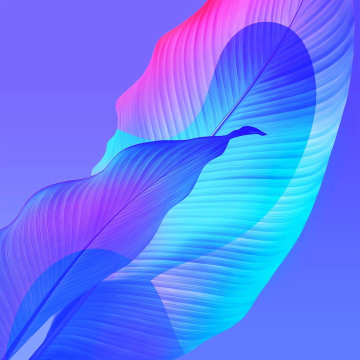 feather