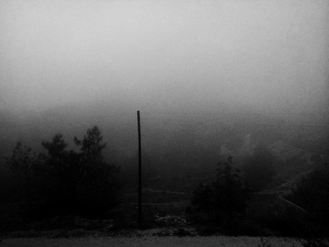 black forest