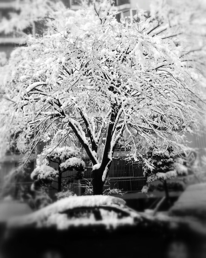 snow