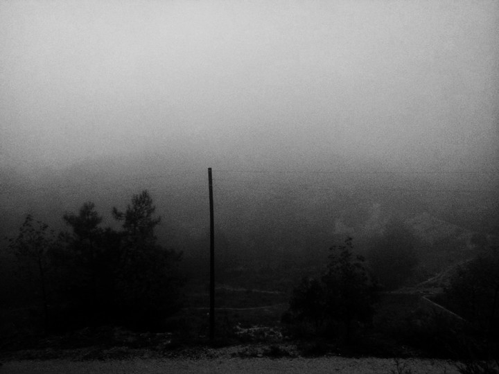 black forest