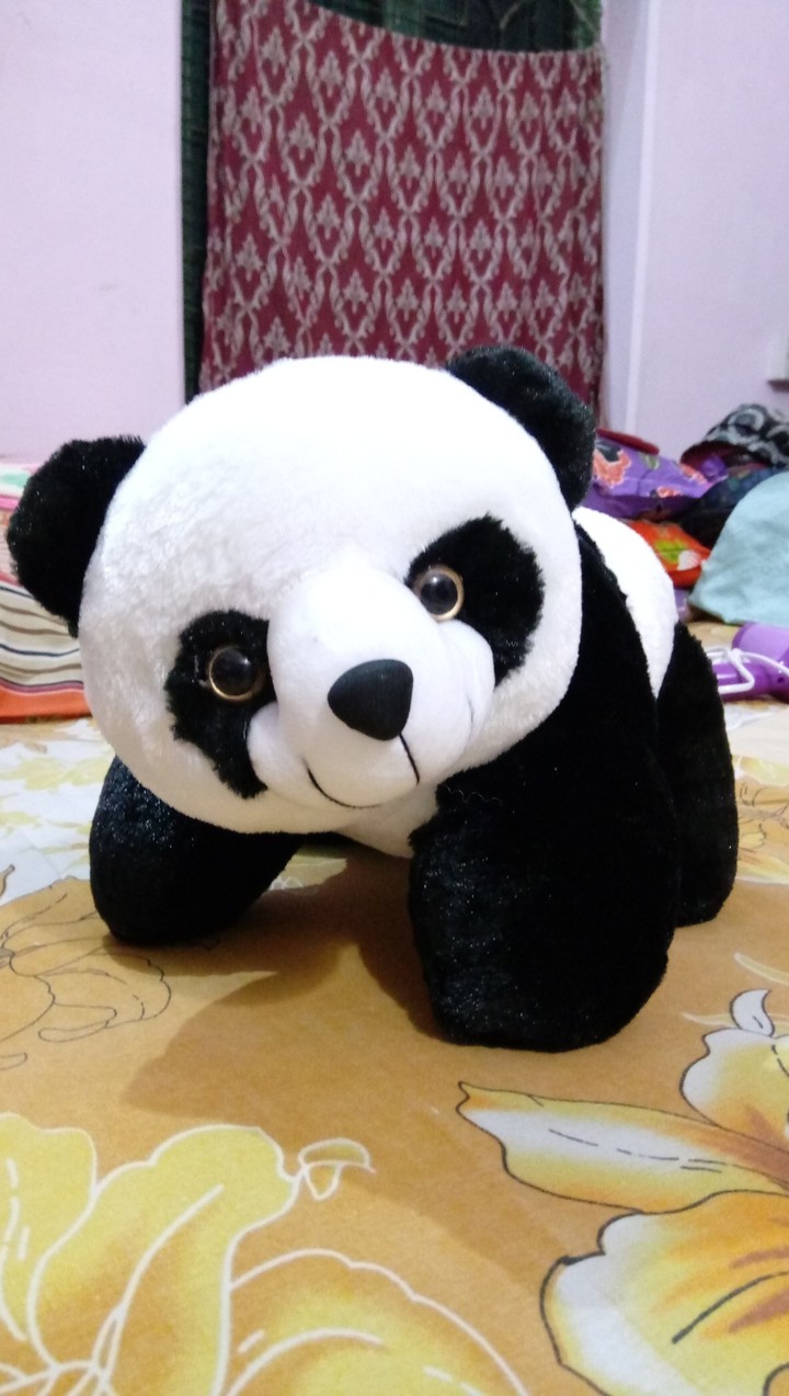 panda