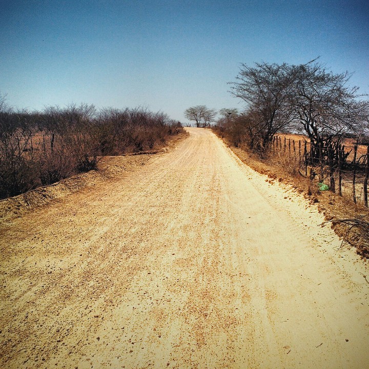 Caminhando