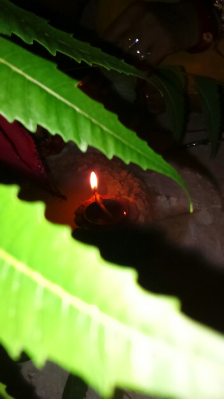 diya for Festival