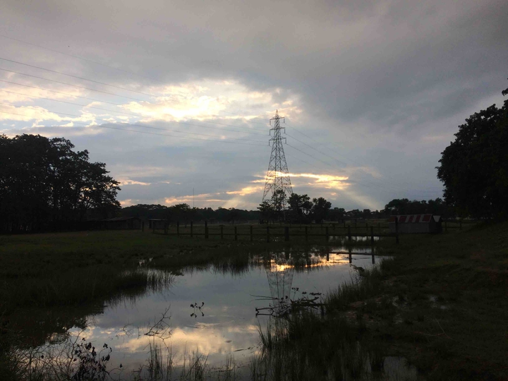 evening