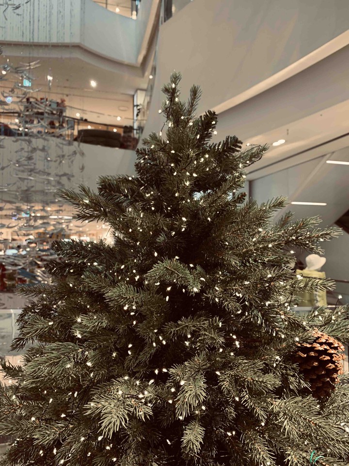 Christmas Tree