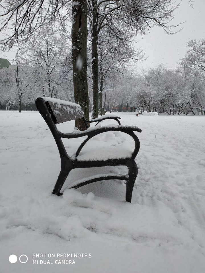 White bench