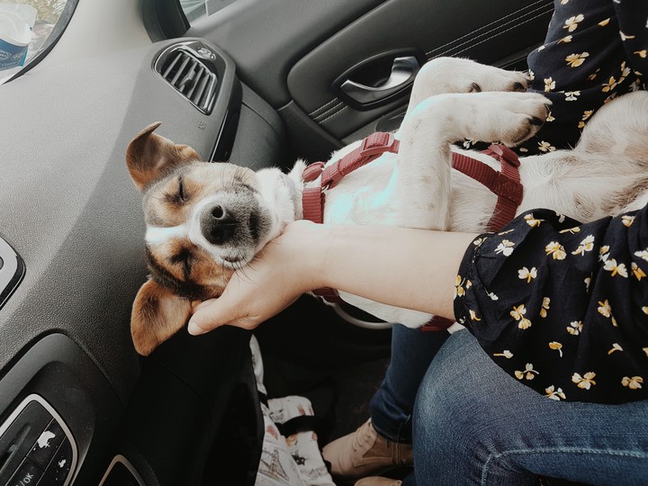 zoe