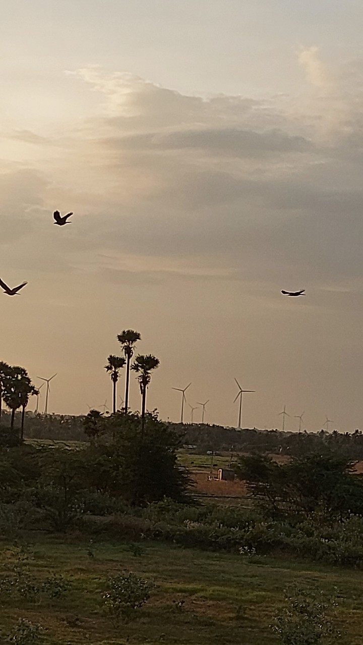 rural sunset 4