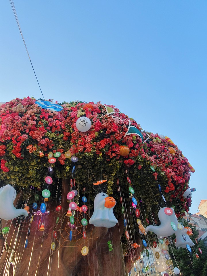 Everland