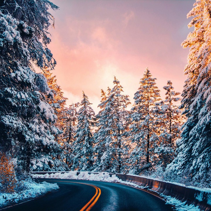 winter coming series