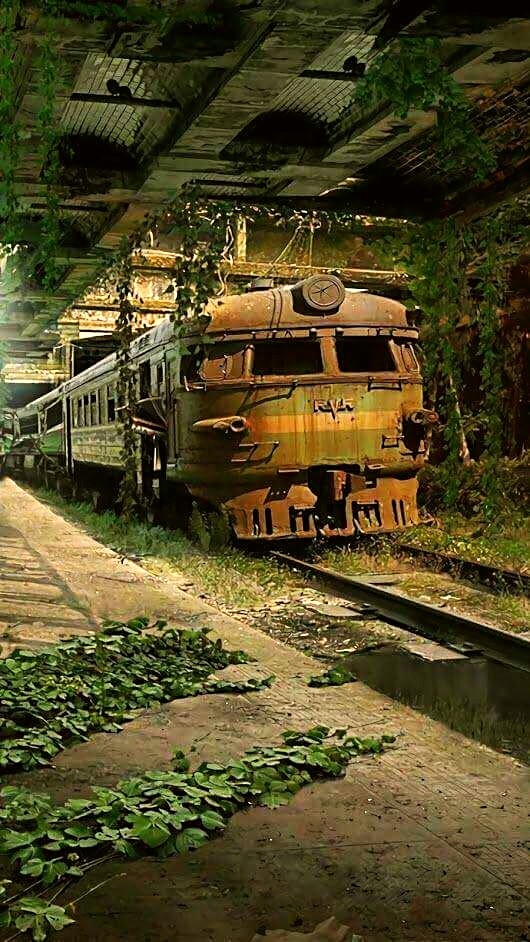 Train