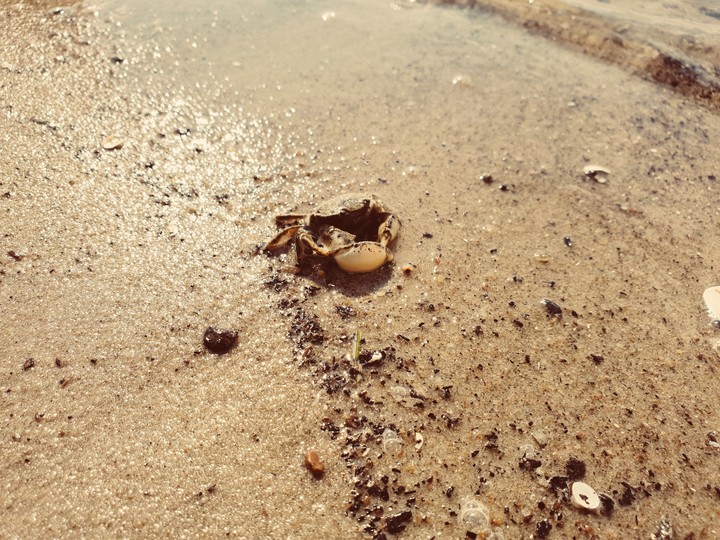 On the beach