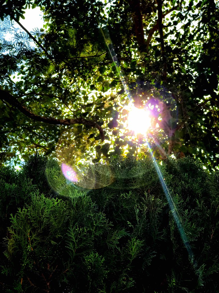 The Light In Our Life