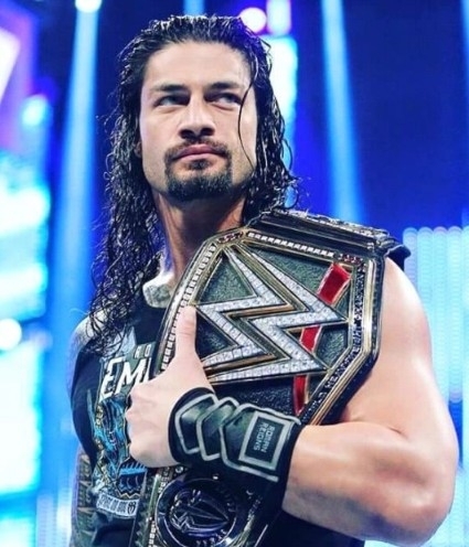 My Favorite (Roman)