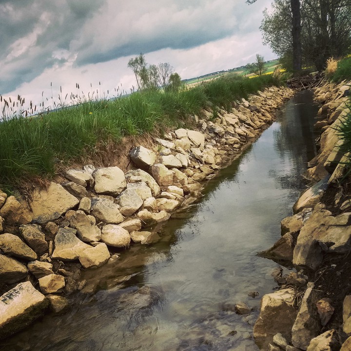 Water