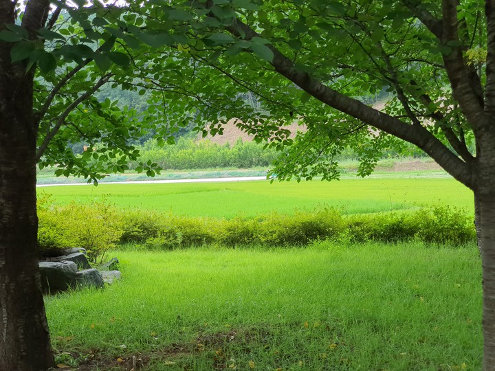 자연