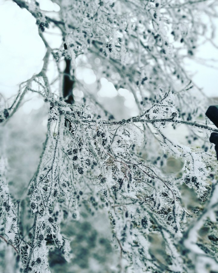 ice