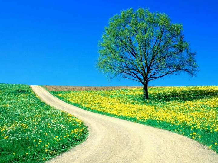 Beautiful nature