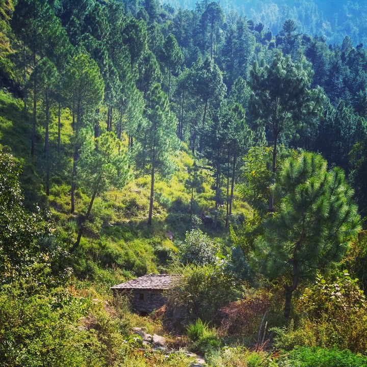Himachal