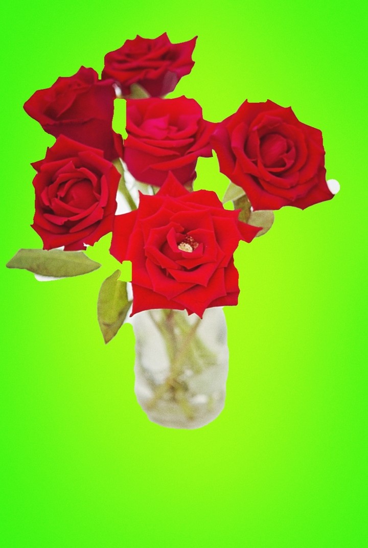 rose