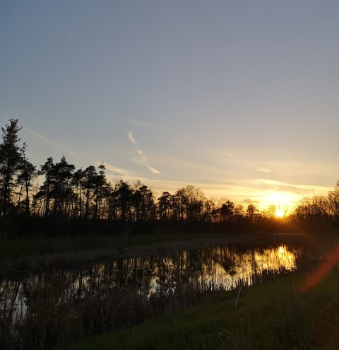 Golden Hour