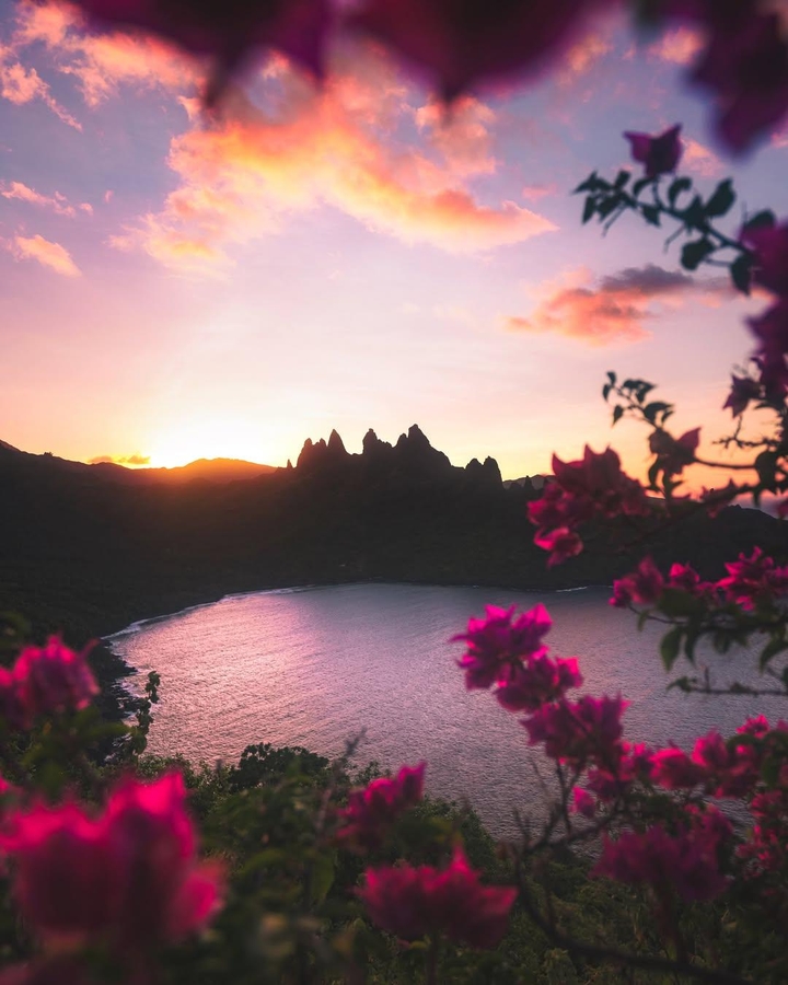 evening, pink Hintergrundbilder