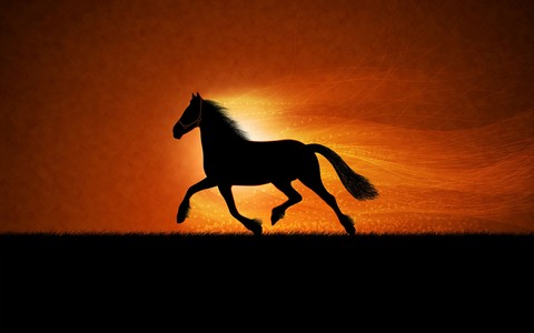 Heaven's Horse