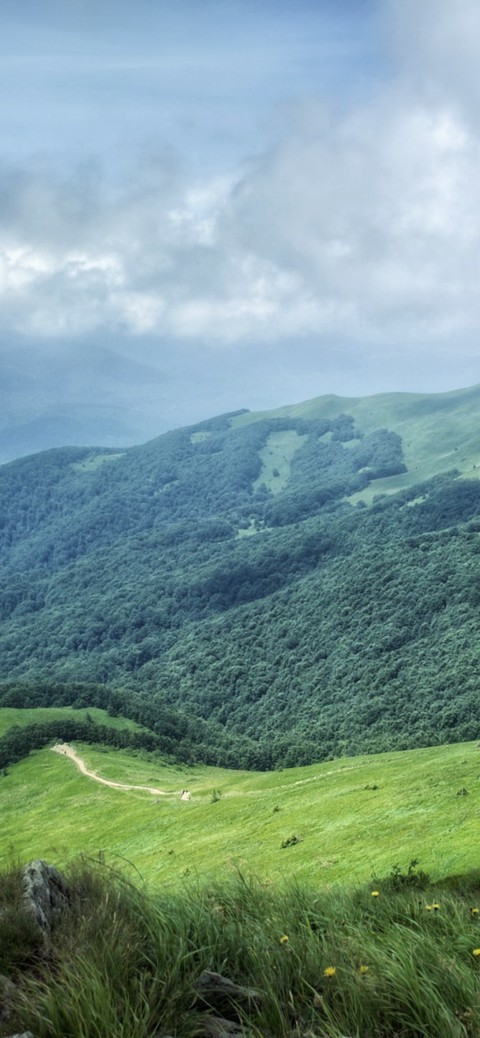 paisaje