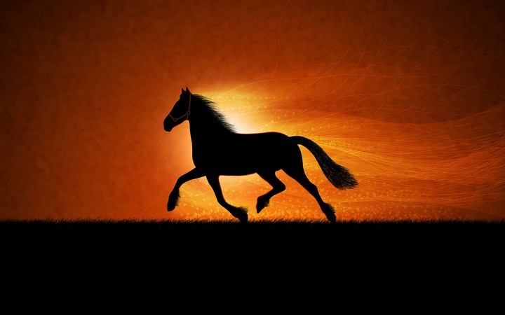 Heaven's Horse